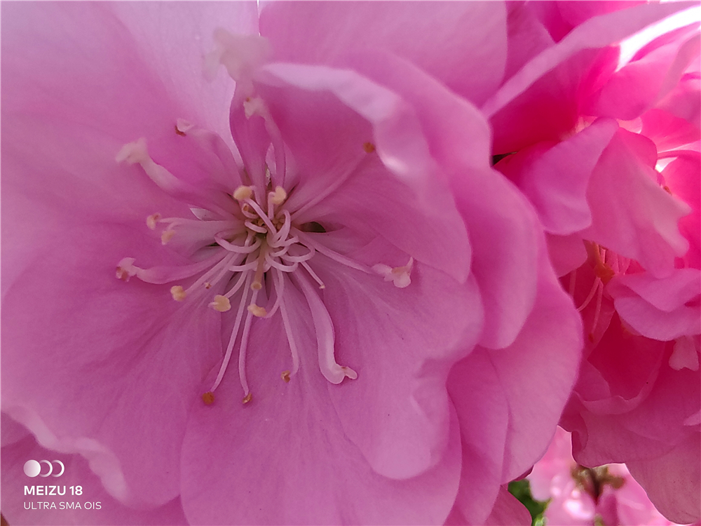 魅族18小屏旗舰,魅族18是小屏幕手机吗