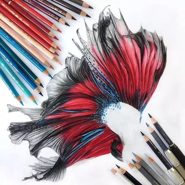 画得比实物好看,彩铅怎么样能画好看