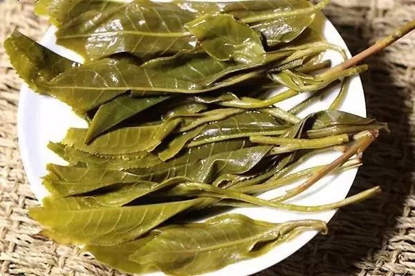 不懂茶也能喝好茶,不懂茶也要知道的小知识