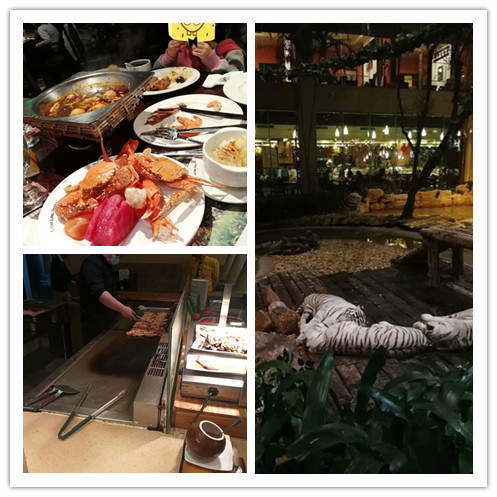 广州长隆海洋王国和珠海海洋王国,广州长隆海洋王国和珠海长隆