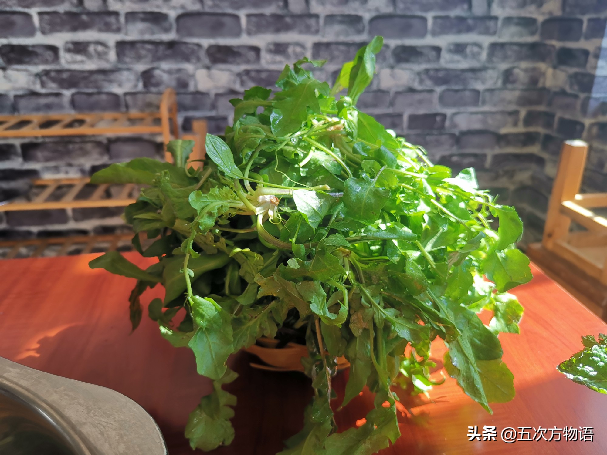 什么是荠菜荠菜长什么样,荠菜属于什么目