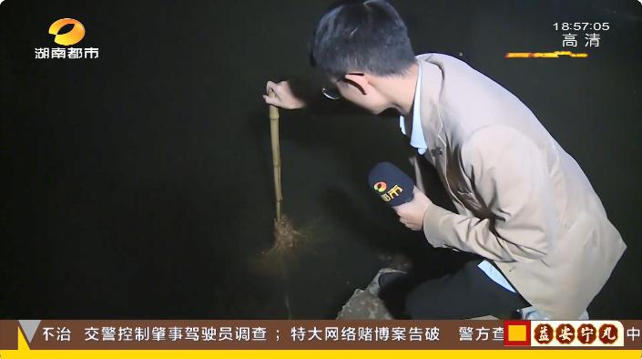 蚊虫、臭味…小区空腔层地下积水超1米！新城国际花都小区业主担心房子安全