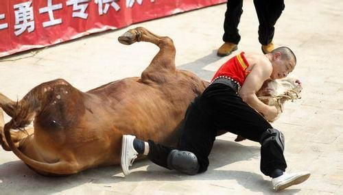 浙江省非物质文化遗产代表性名录,浙江省工业遗产名录