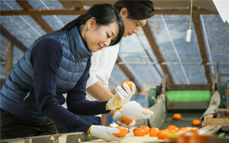 农村创业50个小型投资办厂好项目,免费农村投资办厂加盟