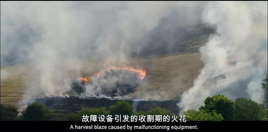 豆瓣9.6,这个“英国版李子柒”承包了我本月的笑点