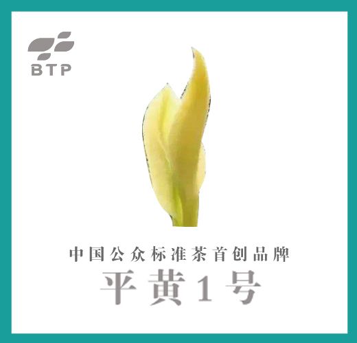 【产区1号茶】只有在公众标准茶交易平台才能买到｜严格标准监管
