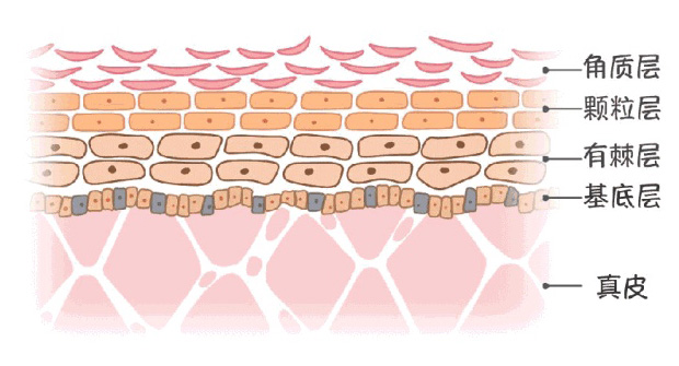 宝宝皮肤干燥脱皮用哪个面霜好,宝宝皮肤皲裂用什么护肤品