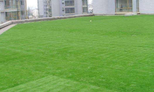 人工草坪养护年限规范,天然草坪如何维护和整平