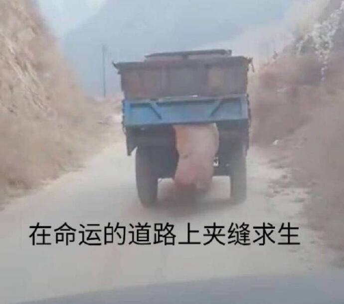 为什么只有腾讯能拿到游戏版号,腾讯网易未获批第十批游戏版号