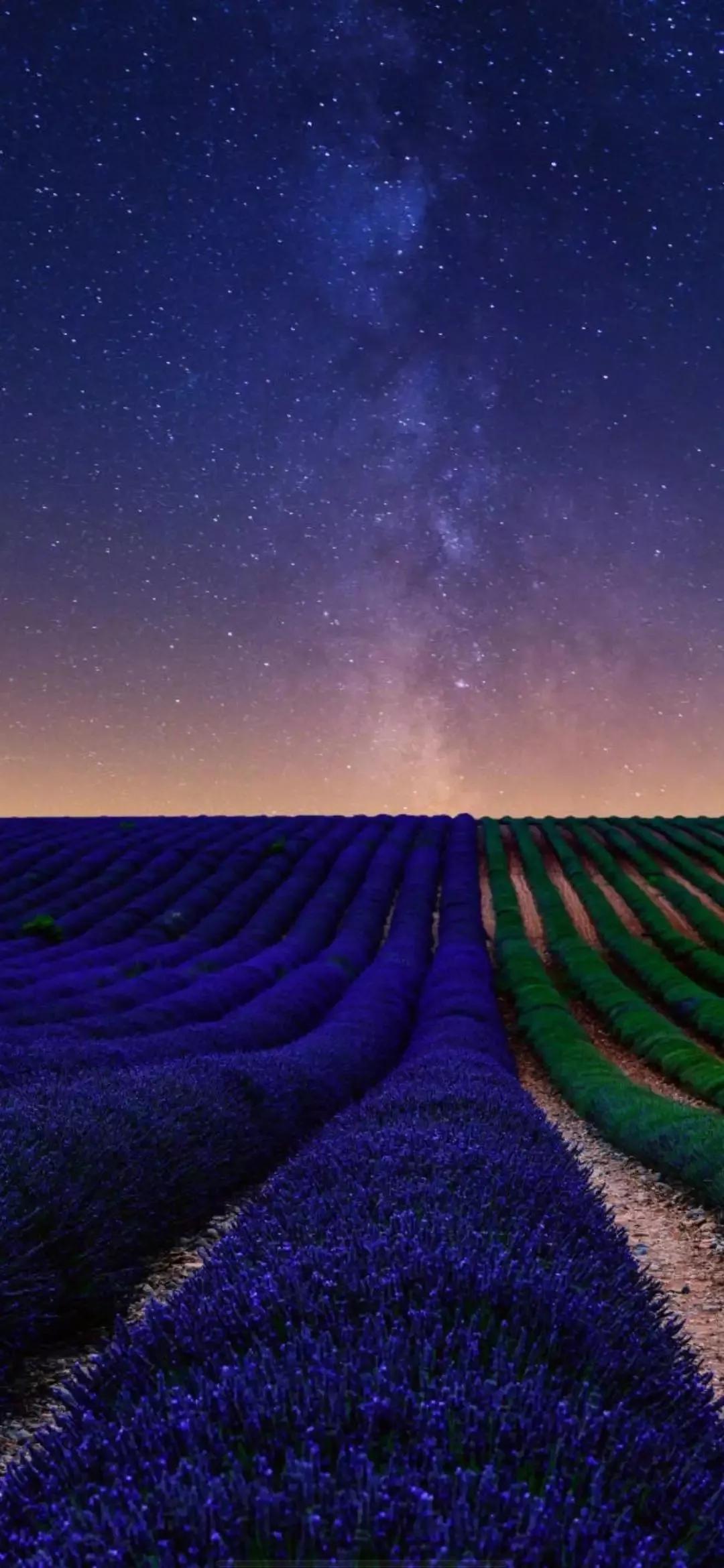 好看的手机壁纸美景,清晰到极致的风景手机壁纸