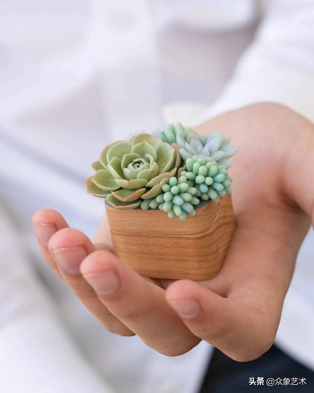 多肉软陶制作,多肉软陶制作方法