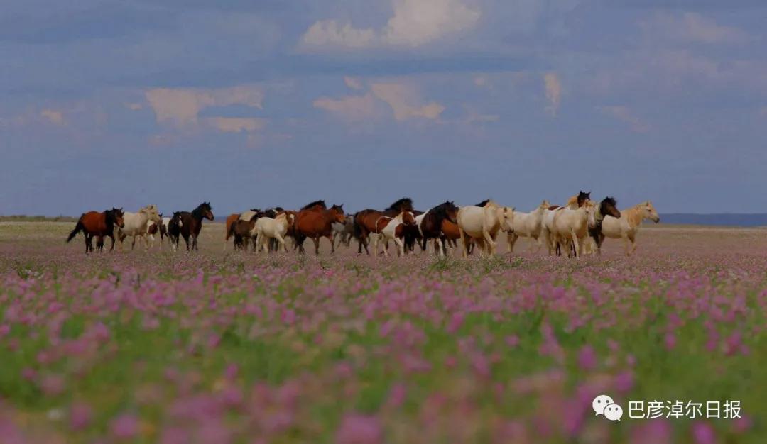 巴彦淖尔五一去处,巴彦淖尔市端午小长假适合去哪玩