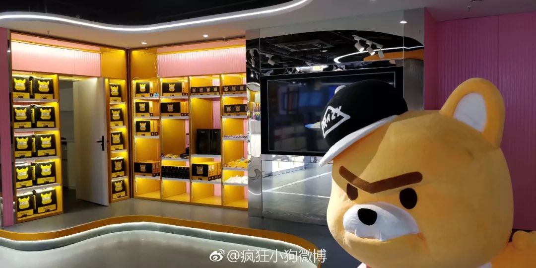 一只疯狂小狗视频,一只疯狂的阿拉斯加