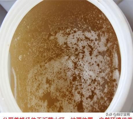 怎么判断蜂蜜变质,如何判断蜂蜜是否变质