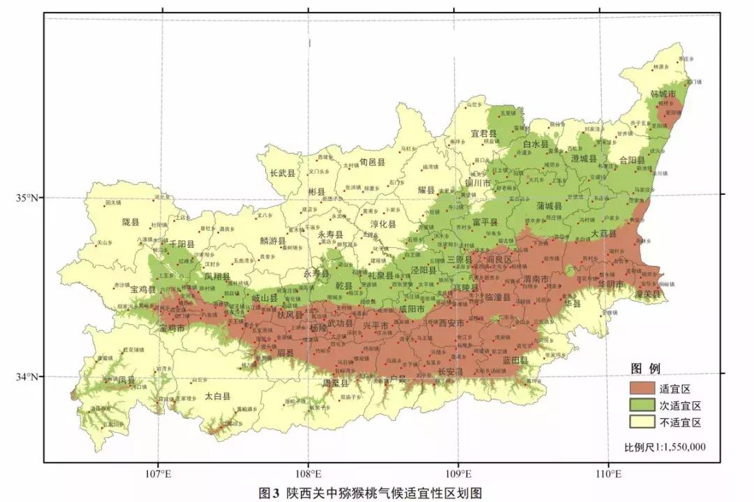 陕西周至猕猴桃和陕西眉县猕猴桃,猕猴桃最先是在周至还是眉县