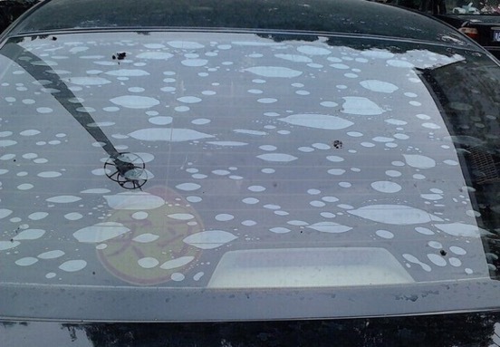 车膜知识大全集,车膜专业知识讲解