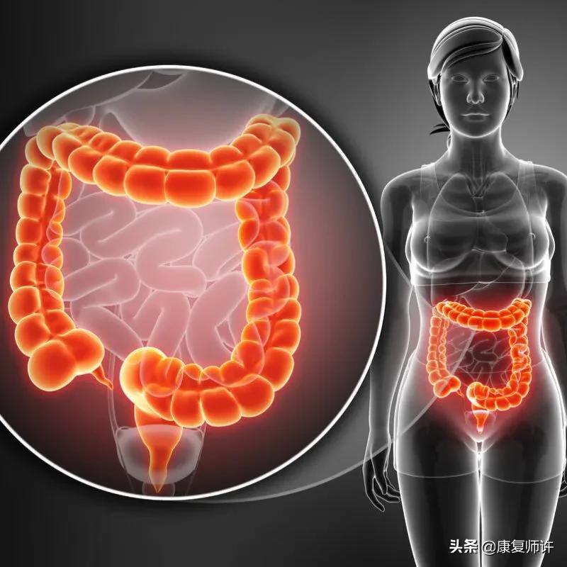 产后腹直肌分离恢复瘦肚子训练,产后腹直肌分离恢复的最佳方法