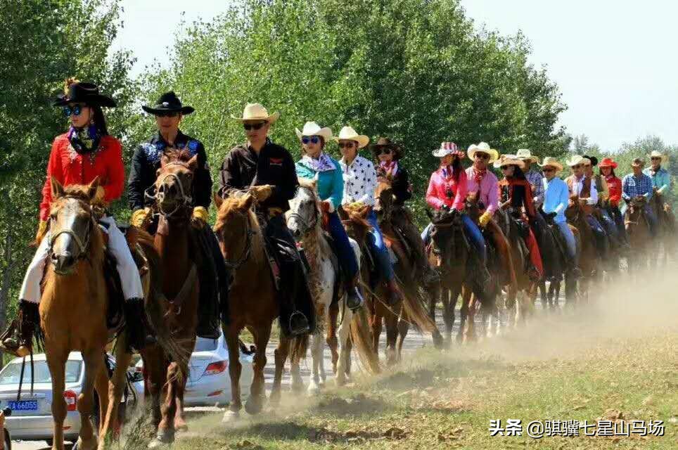 沈阳七星山骑马,沈阳骐骥七星山马场