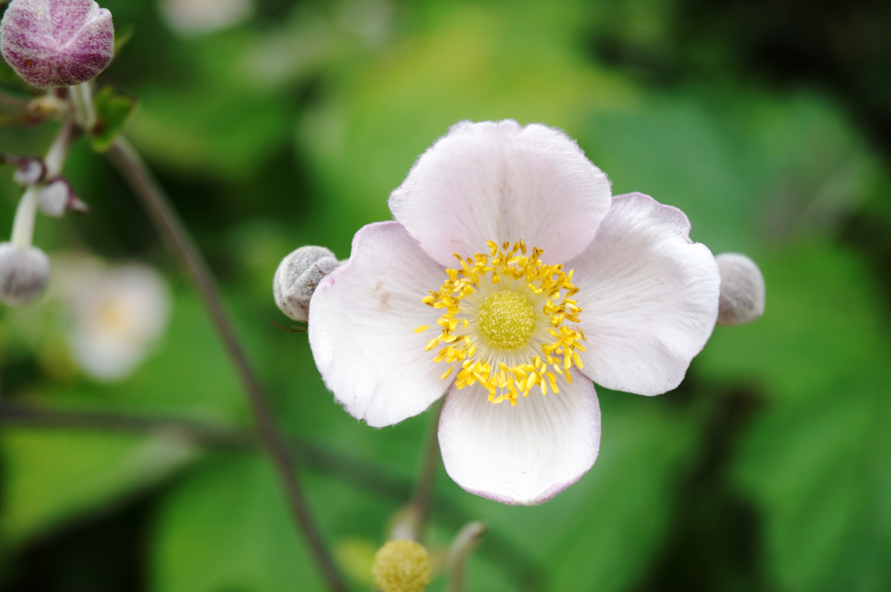 蓝田蓝关古道自驾怎么导航,最近西安蓝田蓝关古道自驾游