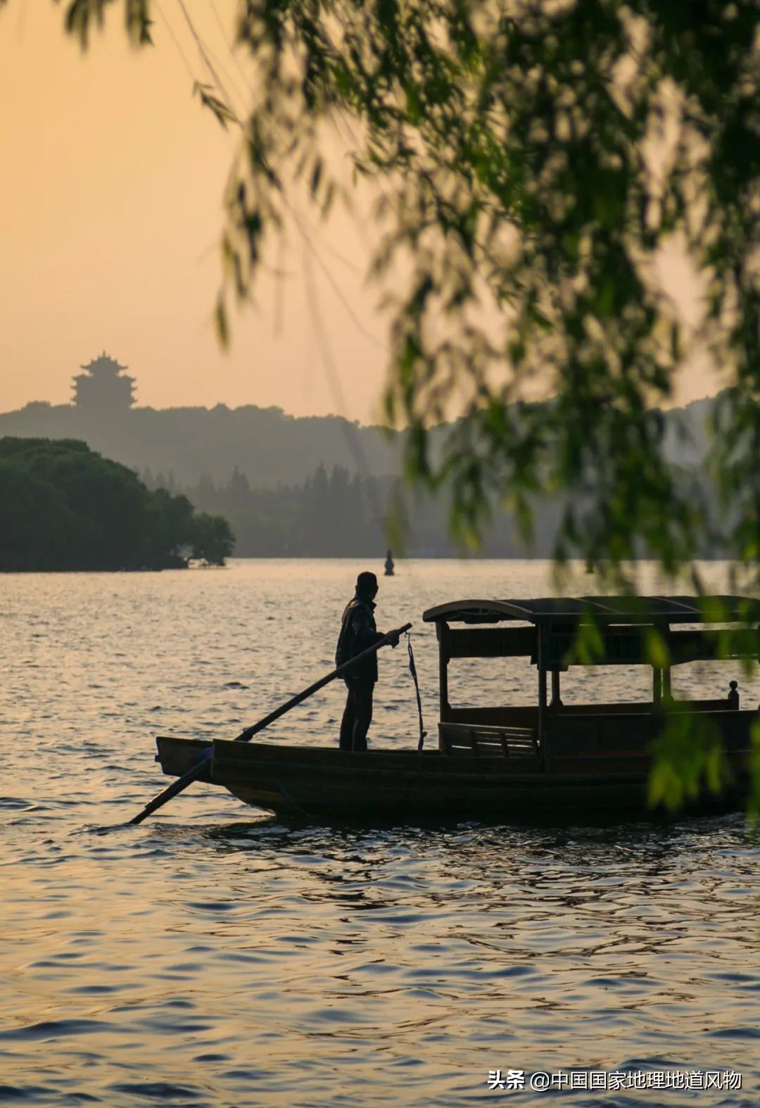 什么是西湖成语,什么是西湖莼菜