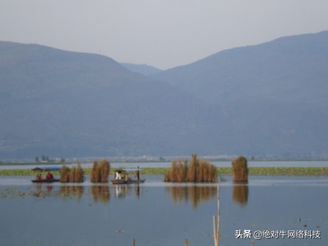 文章怎么被百度收录,网站文章怎样让百度快速有效收录