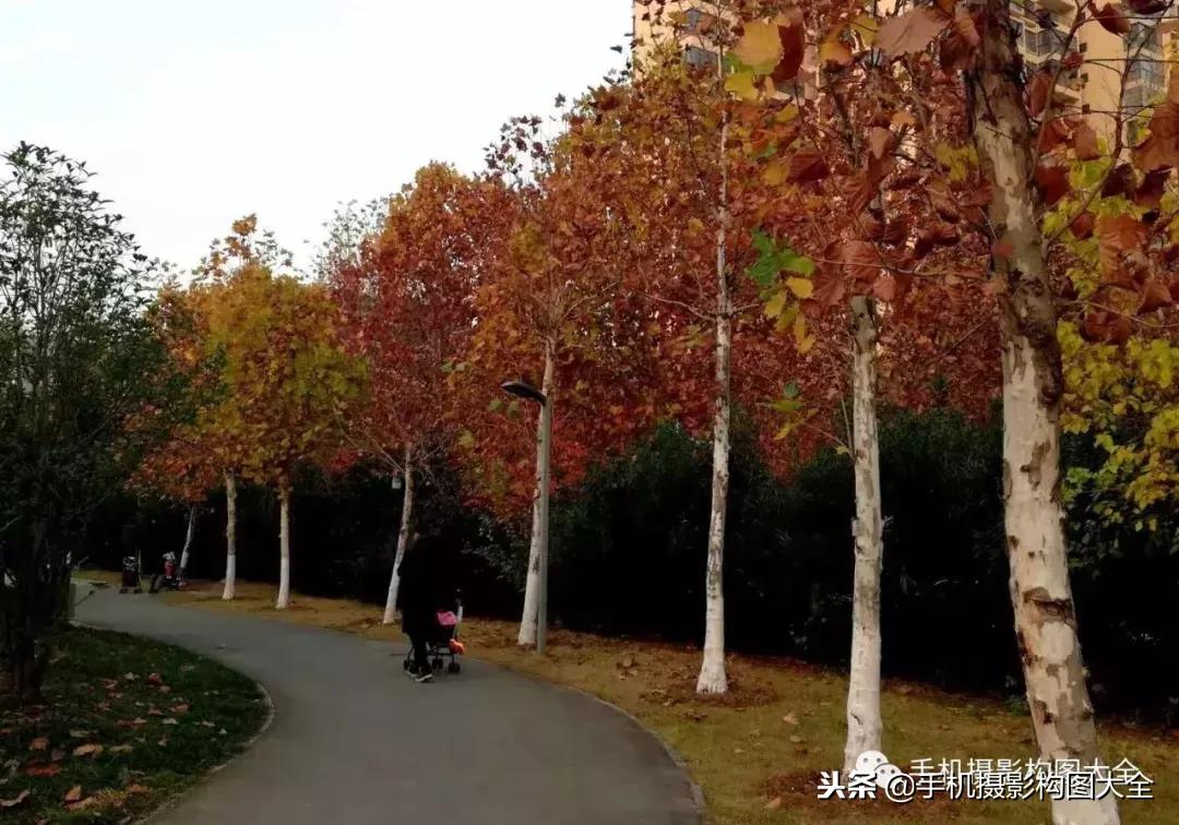 手机摄影怎么拍出好看的景色,手机如何拍出低调的摄影照片