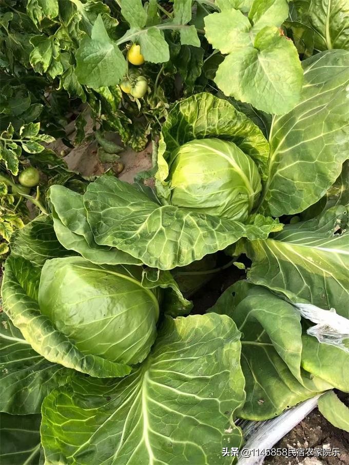 蓟县盘山玉环山庄,玉环山庄农家院