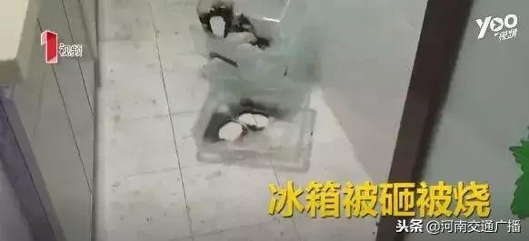 房子租给年轻人的后果,房子租给单身小伙一年多