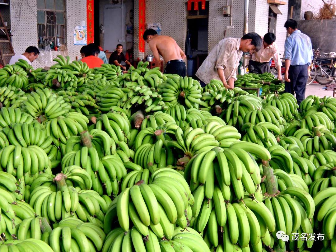 夏天的甜蜜延续到秋天,夏天的甜蜜甜在嘴里恋在心里