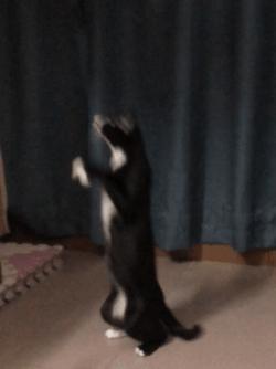 苹果手机用什么app来滤镜修图,iphone怎么快捷编辑图片滤镜