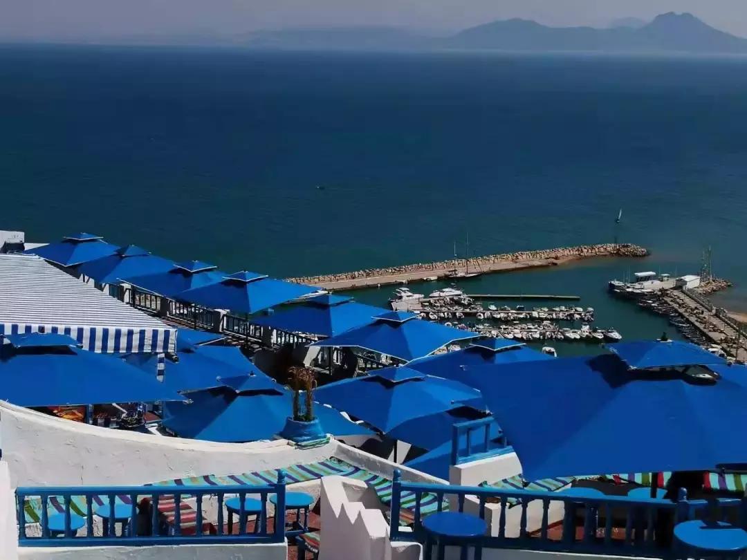 突尼斯是不是地中海,突尼斯一半沙漠