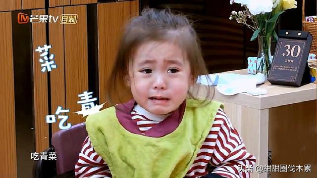 孩子挑食偏食有什么好的治疗方案,孩子挑食偏食父母应该怎么办动画