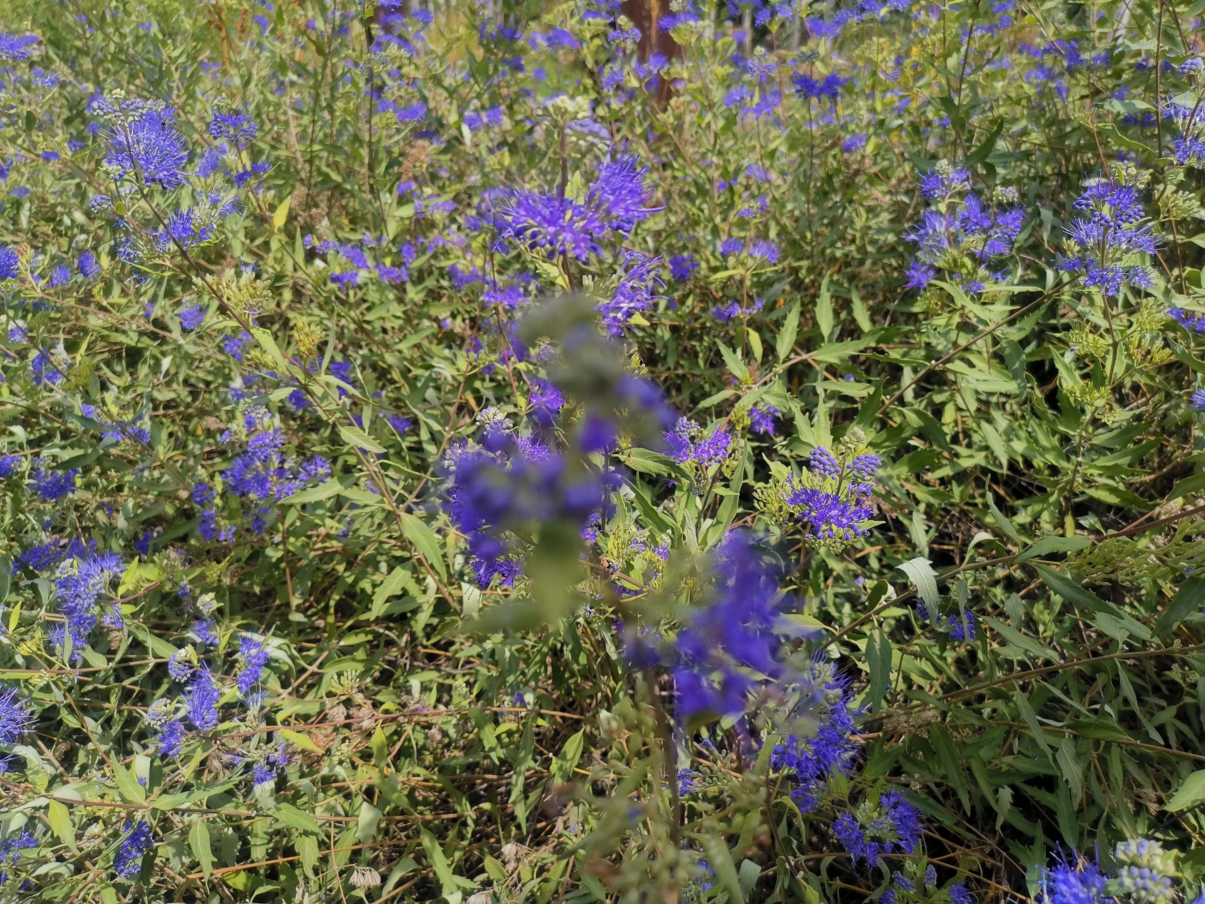 记忆模糊的三年,记忆回到三年前