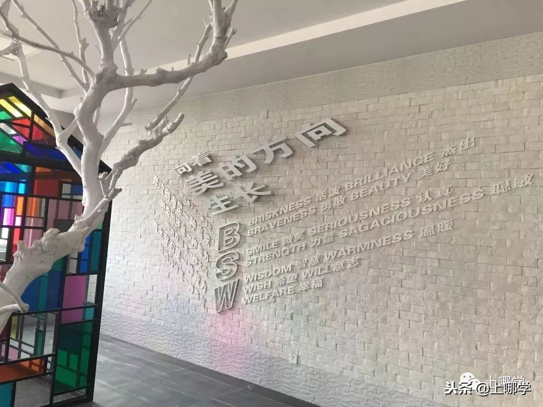 沪10大“美哭了”的公办小学,环境设施赶超民办!第一所就膜拜!