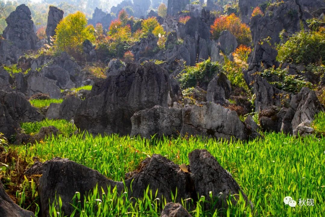 周游西南随记(六)弥蒙的万峰林