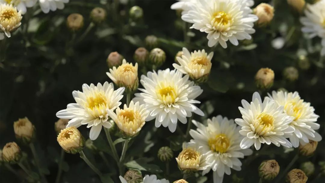 一入秋西安就美成长安,一入秋杭州就美成临安