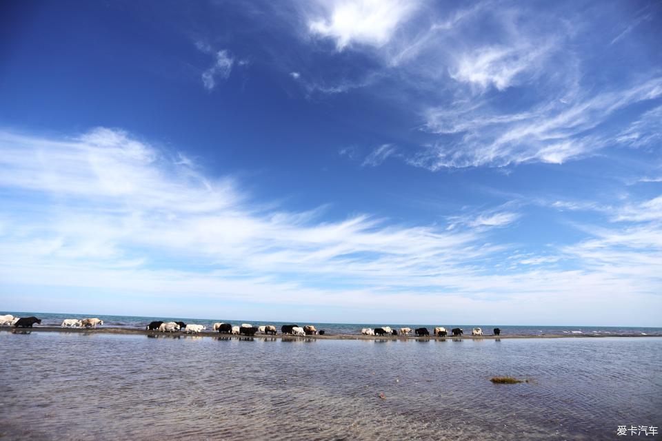 帕杰罗劲畅进藏自驾视频,帕杰罗劲畅西藏新疆自驾游