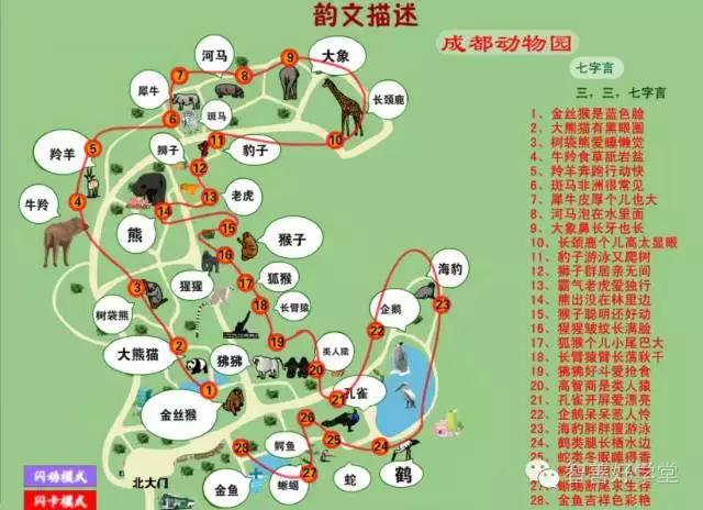 干货满满的背诵知识,干货国语版