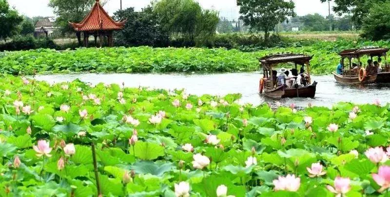 最适合宜居的城市芜湖,芜湖是个宜居城市吗