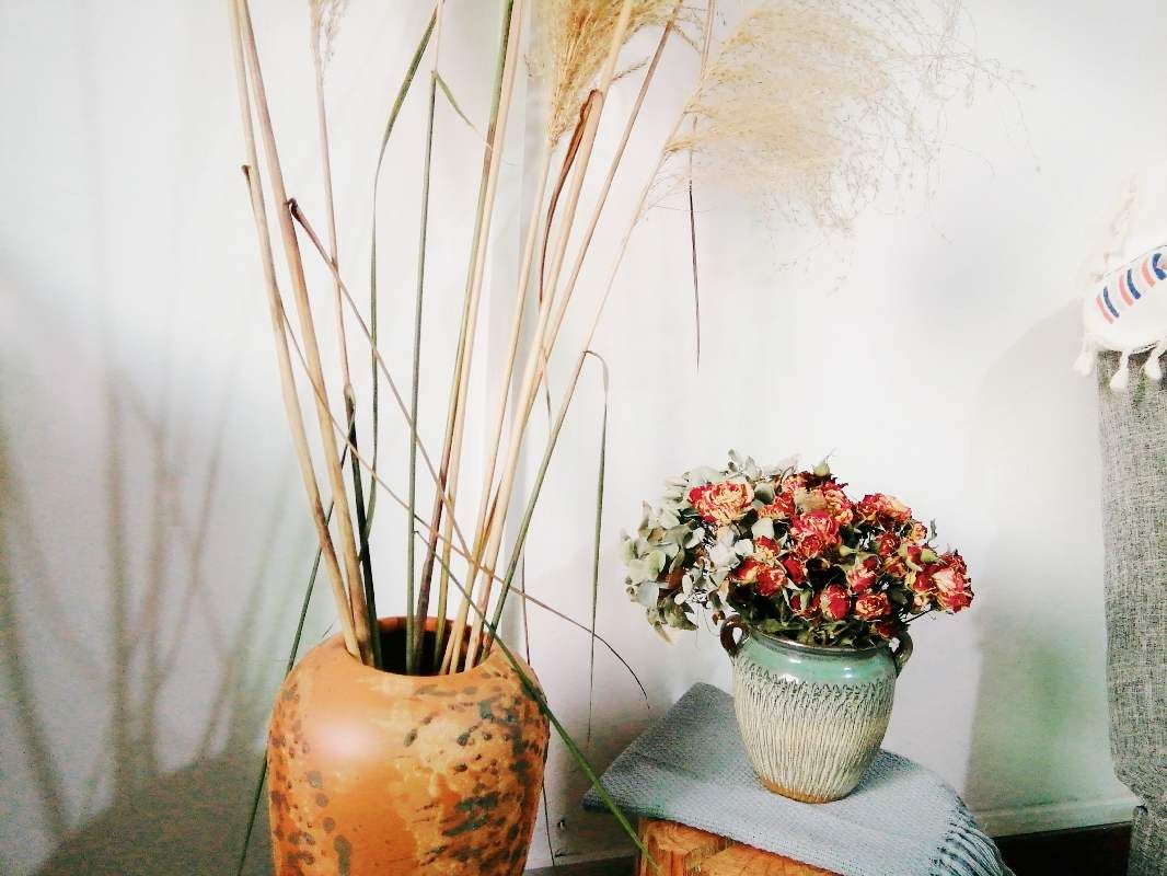 重庆100-200民宿推荐以及价格,100家苍蝇馆子重庆