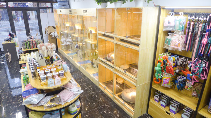 北京推荐的宠物店,北京宠物店推荐宠物港