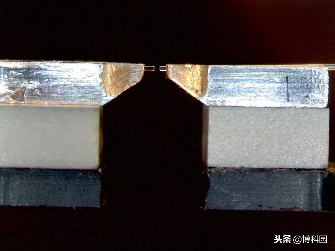 量子足球,量子足球数据