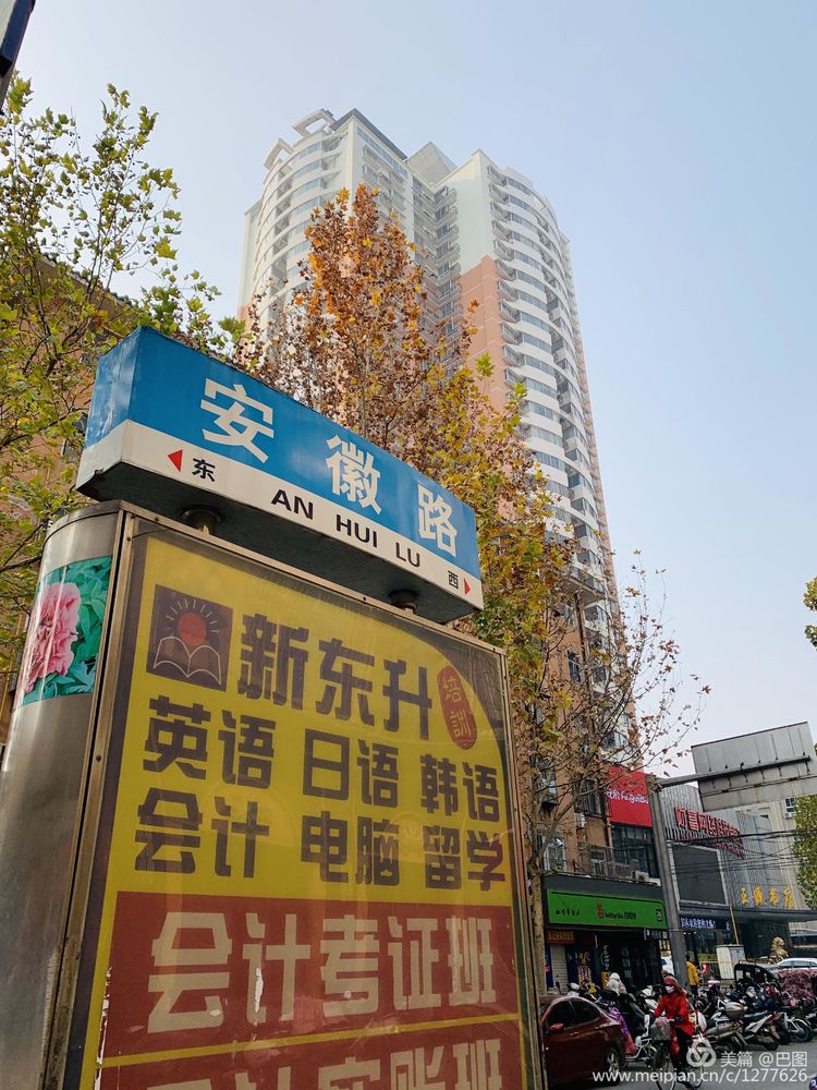 涧西牡丹广场老照片,洛阳牡丹手机拍照