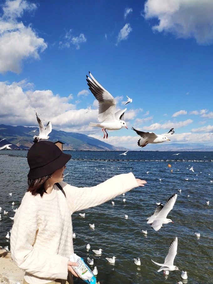 说走就走云南游记 (云南游记第三篇)