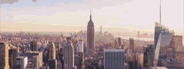 双十一我们都剁手了吗,双十一囤货狂欢节