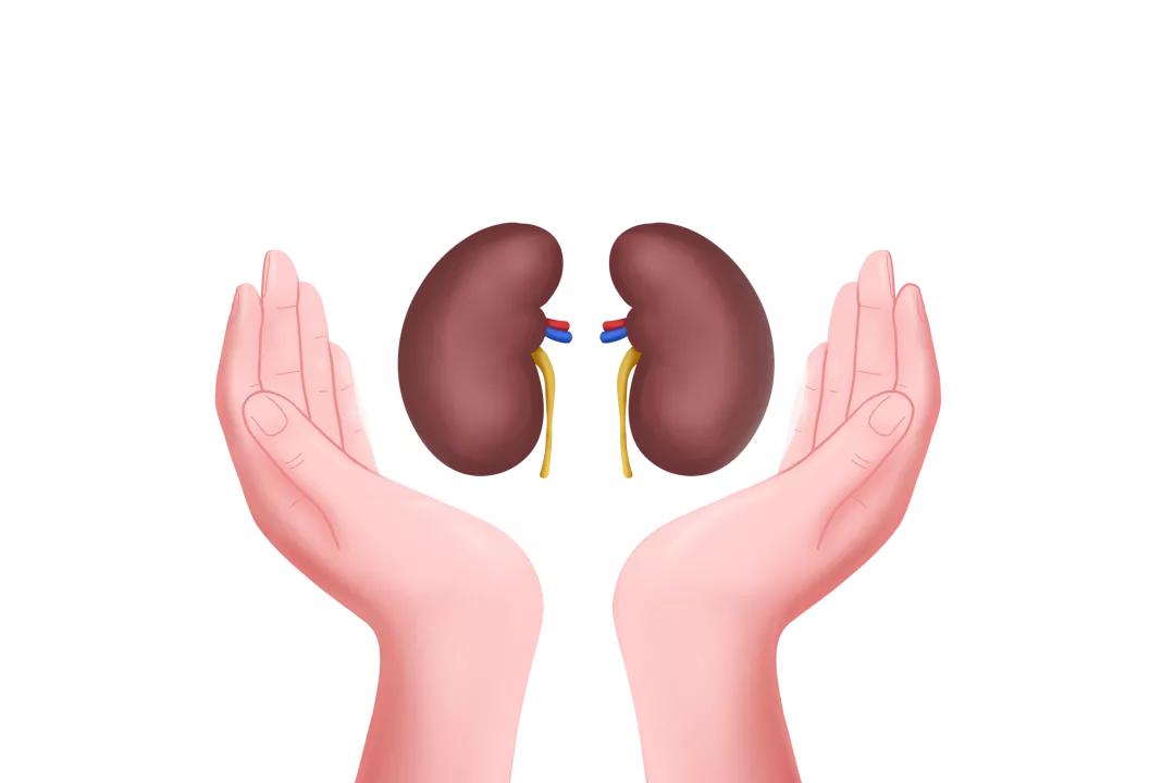 养心养肝养肺养肾养五脏,中医肾最怕什么