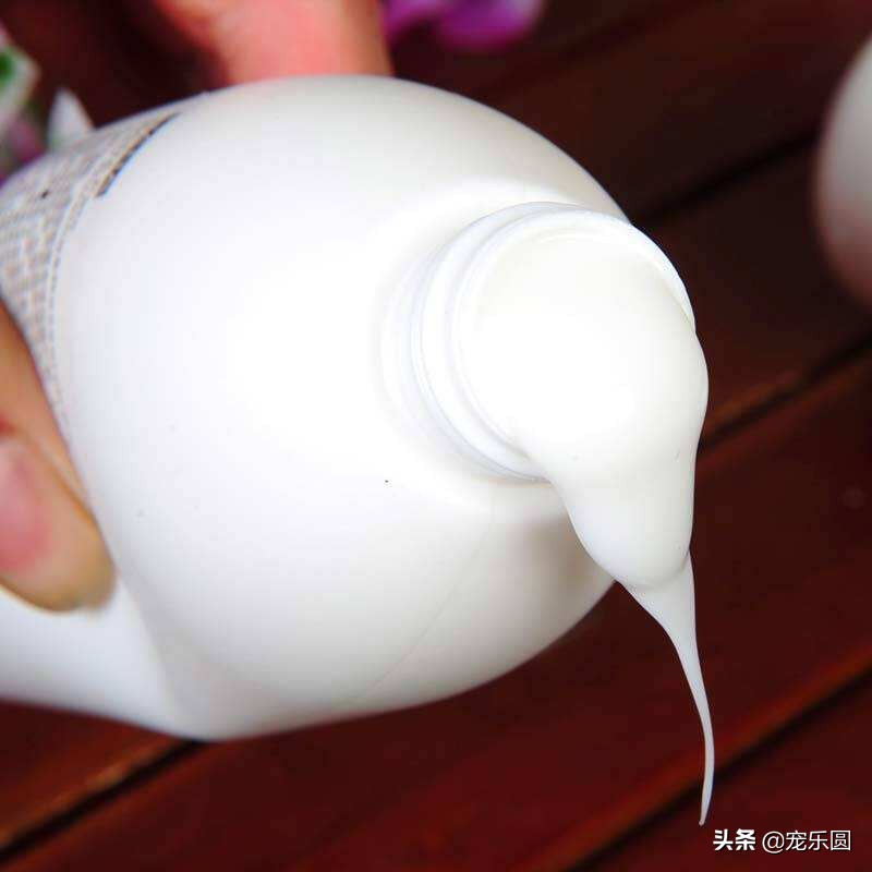 狗狗身上有好多皮屑老挠怎么回事,泰迪狗狗身上有皮屑怎么办