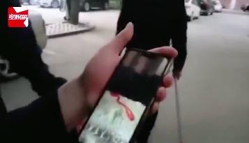 女子报警赤链蛇,女子家中发现红色长蛇