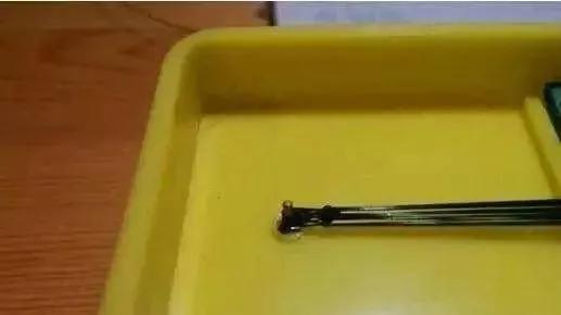 主线子线gt结绑法图解,绑子线到8字环防缠绕图解