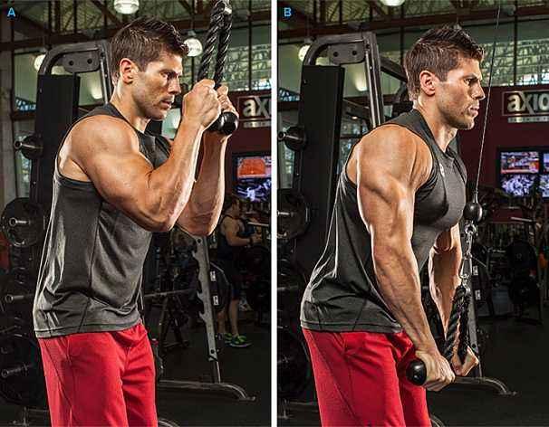 去健身房锻炼有意义吗,在家训练还是去健身房健身比较好